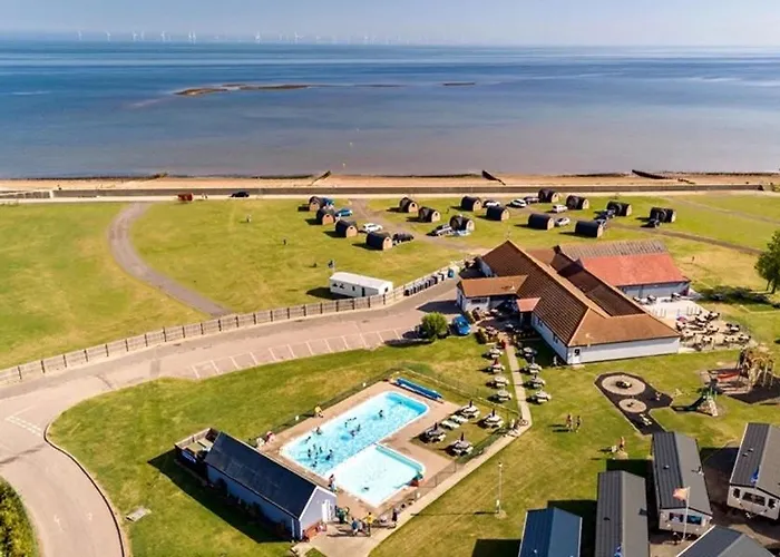 Oyster Etchingham Seaview